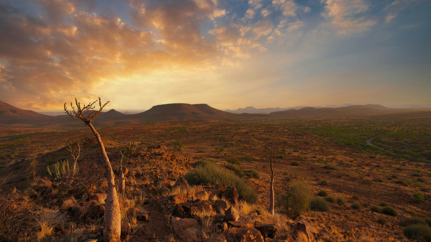 Gorgeous Namibia