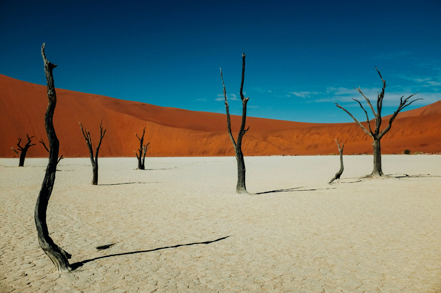 Gorgeous Namibia