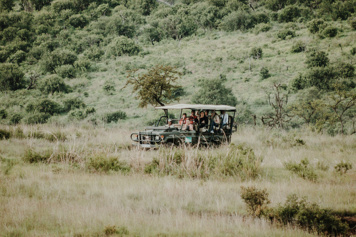 South Africa - Big Five Safari