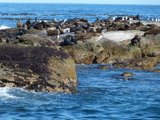 South Africa - Cape Town